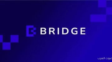 قطاع الإعلام والاتصال في الجامعة العربية يشارك في قمة بريدج