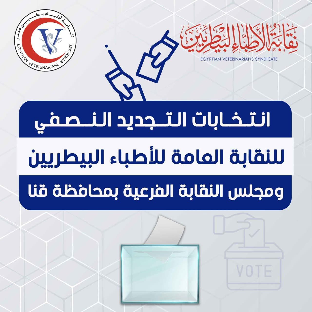 كل اللي محتاج تعرفه عن انتخابات التجديد النصفي لنقابة الأطباء