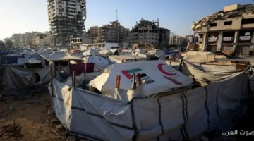 لجنة أمريكية لإدارة غزة بشكل مؤقت وعلاقتها بولي العهد السعودي