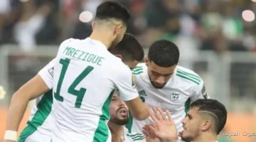 محمد العدل التعادل بين السودان والجزائر مشكلة لكل وادي النيل