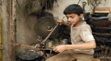 مسؤولة لبنانية حماية الأطفال دليل على مدى جدية الدول في