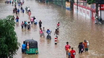 مصر تقدم تعازيها الحارة لسريلانكا في ضحايا السيول والفيضانات