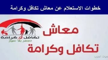 رابط الاستعلام عن معاش تكافل وكرامة لشهر ديسمبر 2025 بالرقم القومي والشروط المطلوبة 3 معاش
