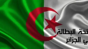 رابط تجديد منحة البطالة 2025 في الجزائر عبر موقع الوكالة الوطنية للتشغيل والشروط المطلوبة 12 منحة البطالة