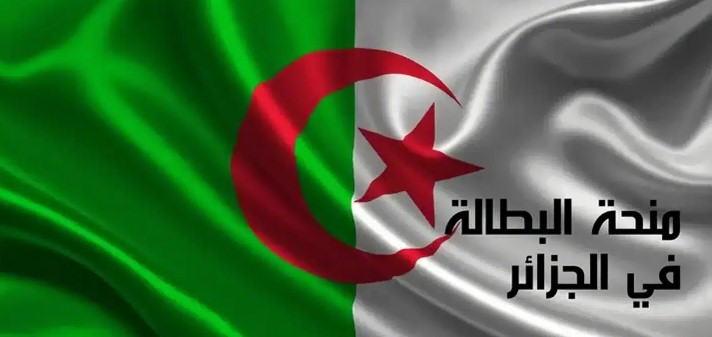 رابط تجديد منحة البطالة 2025 في الجزائر عبر موقع الوكالة الوطنية للتشغيل والشروط المطلوبة