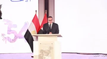 نائب رئيس الوزراء العلاقات بين مصر والإمارات مثال ناجح للتعاون