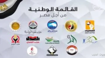 هيئة الانتخابات القائمة الوطنية من أجل مصر كسبت بعد إلغاء