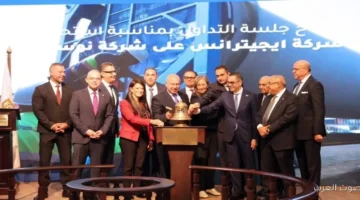 وزير الاستثمار الدولة تسعى لتعزيز البنية المؤسسية لسوق المال بشكل