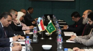 وزير الاستثمار يبحث مع نظيره الباكستاني سبل تعزيز العلاقات الاقتصادية