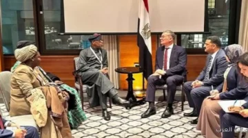 وزير البترول يناقش التعاون وتبادل الخبرات مع نيجيريا في مجال