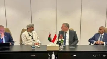 وزير البترول يناقش دور بتروجت في مشروع نقل الغاز الطبيعي