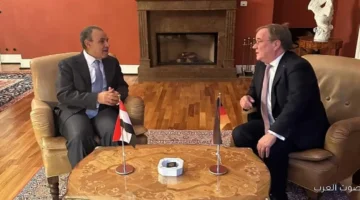وزير الخارجية المصري يقابل رئيس لجنة العلاقات الخارجية الألمانية