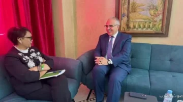 وزير الري مصر من أوائل الدول اللي بتطالب بتعيين مبعوث