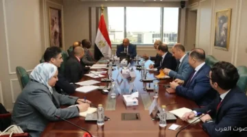 وزير الكهرباء زيادة دور القطاع الخاص في الإنتاج والتوزيع