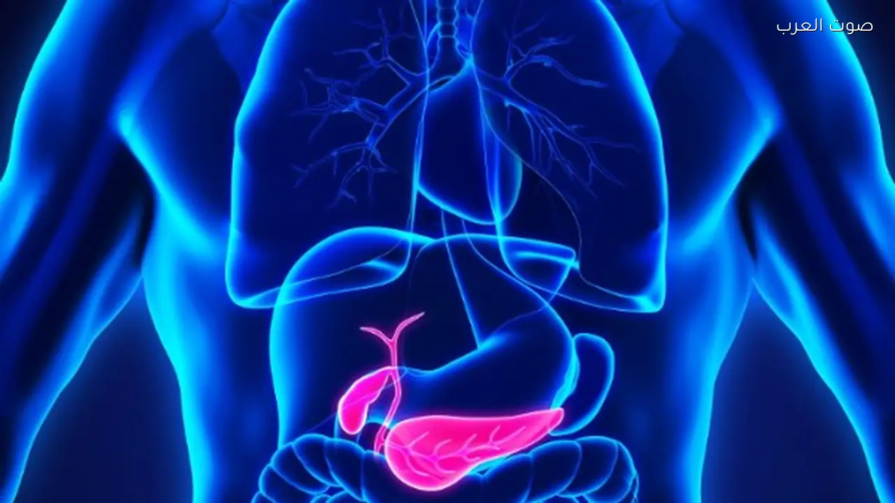 علاج ثلاثي جديد يحقق نتائج واعدة في مكافحة سرطان البنكرياس