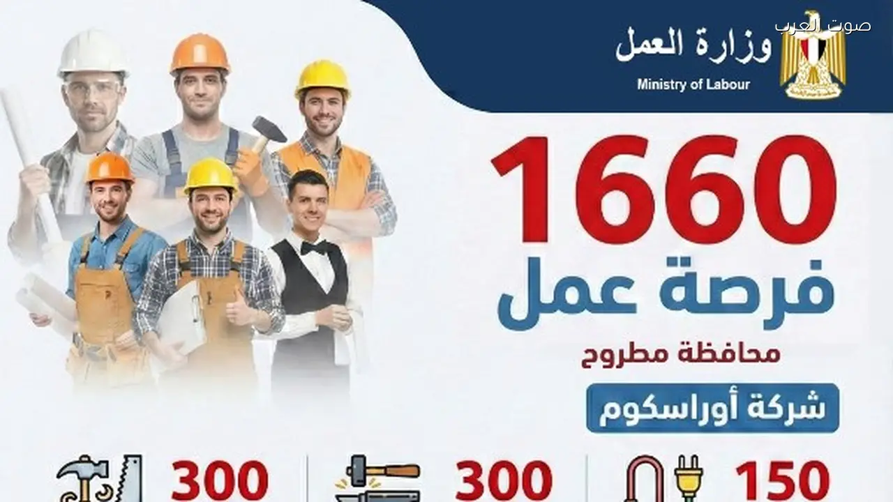 1660 وظيفة جديدة متاحة في مطروح