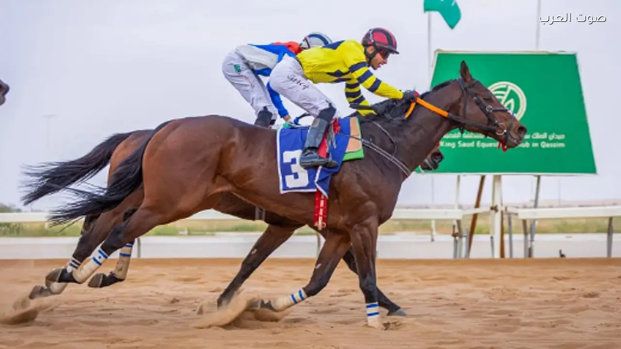 «أبر كلاس» يفوز بكأس الحفل الخامس عشر في ميدان الملك سعود للفروسية بالقصيم