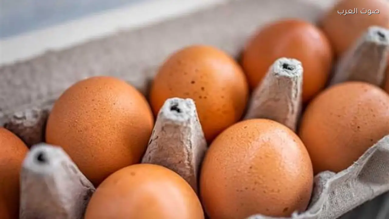 أسعار البيض تتغير اليوم السبت رغم وفرة الإنتاج