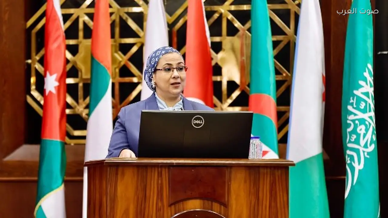 أمل عمار: إنجازات المرأة المصرية نتيجة إرادة سياسية واضحة