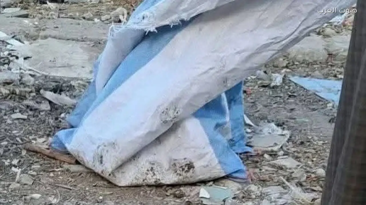 أمن المنيا يكثف جهوده لكشف لغز جوال يحتوي على أجنة