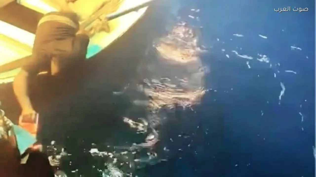 إحالة 4 متهمين للمحكمة في قضية صيد بهلول بمحمية جبل علبة