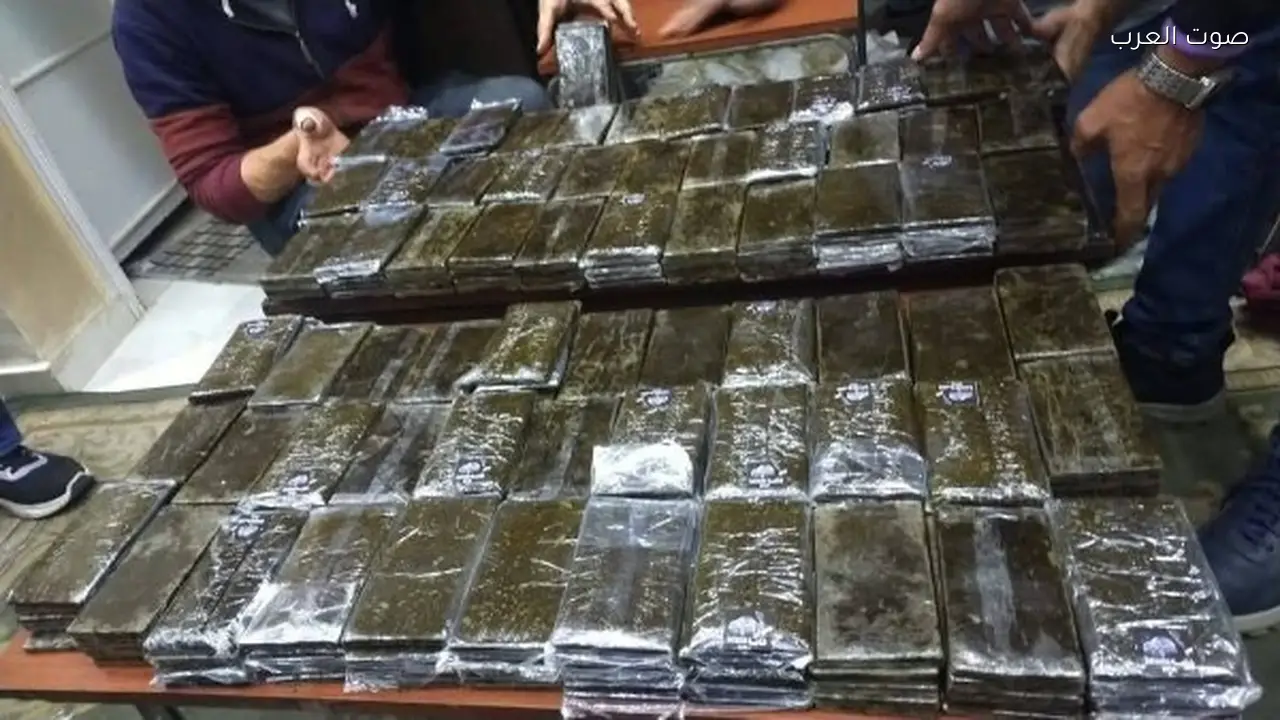 إحالة 7 أوكرانيين ومصري للجنايات بتهمة التعاون مع مهربي المخدرات