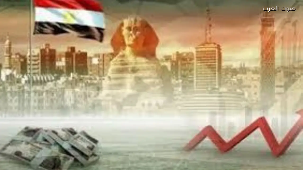 إعادة هيكلة الهيئات الاقتصادية تعزز استفادة الدولة من أصولها