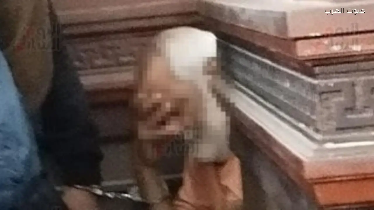 إعدام جنايني مدرسة دولية بالإسكندرية بتهمة هتك عرض 4 تلاميذ