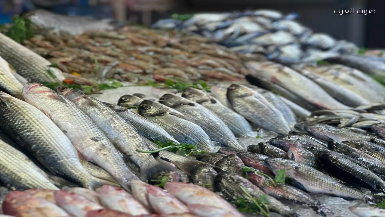 إنتاج 33 طنًا من الأسماك في مزرعة المنزلة السمكية