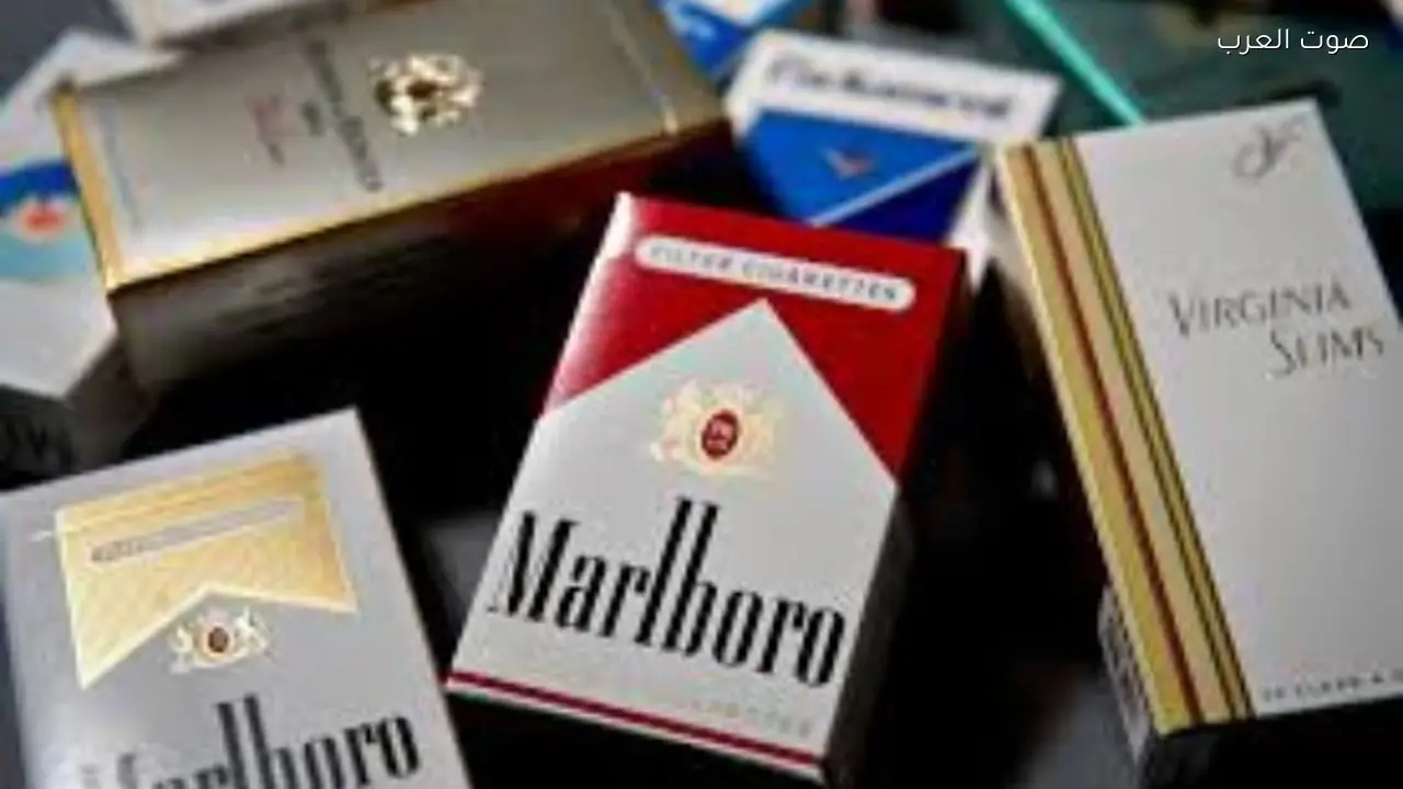 استقرار أسعار السجائر في مصر اليوم الأحد 8 فبراير 2026