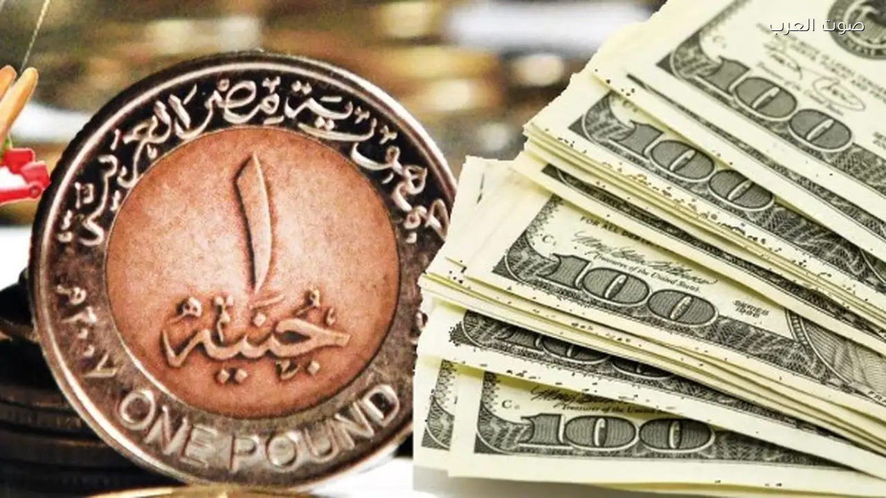 استقرار سعر الدولار في البنوك المصرية نهاية تعاملات الخميس