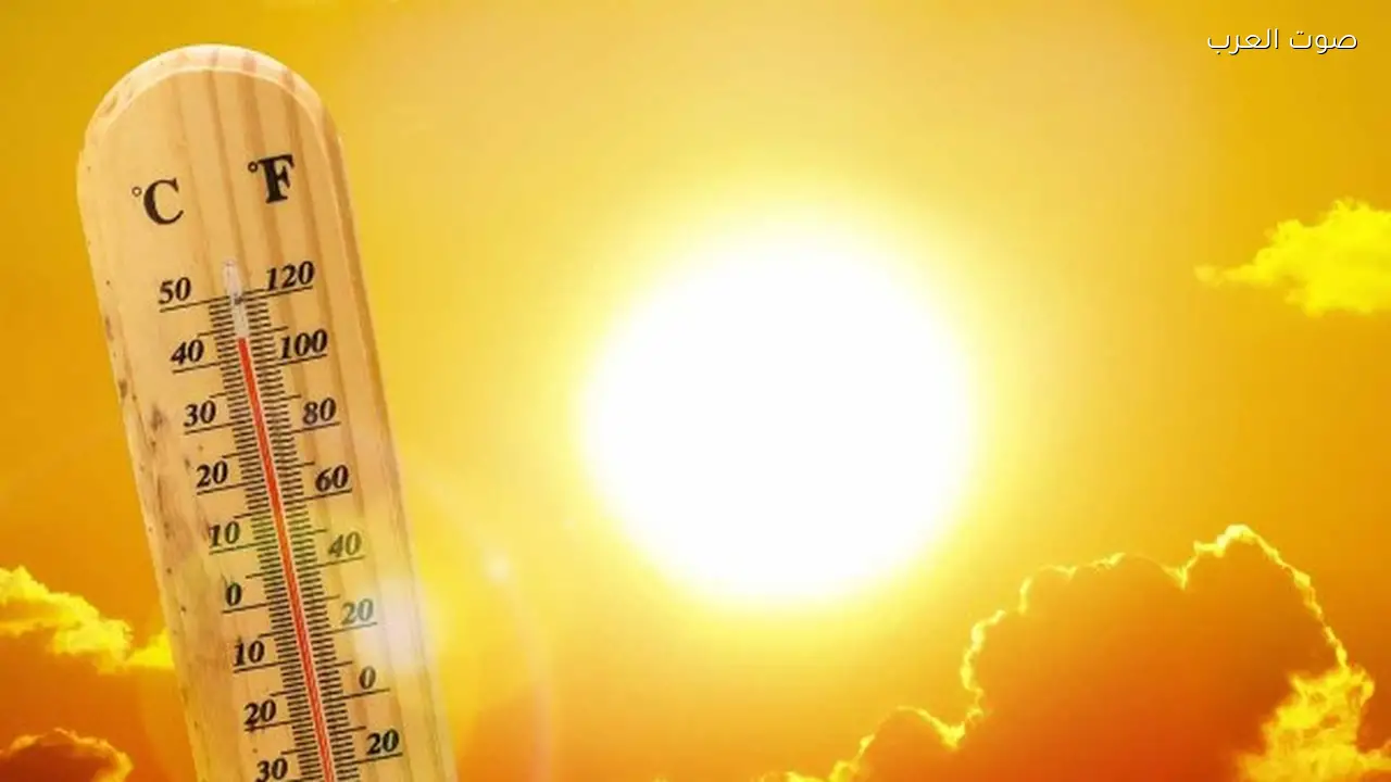 الأرصاد تحذر من طقس بارد وشبورة على الطرق حتى السبت