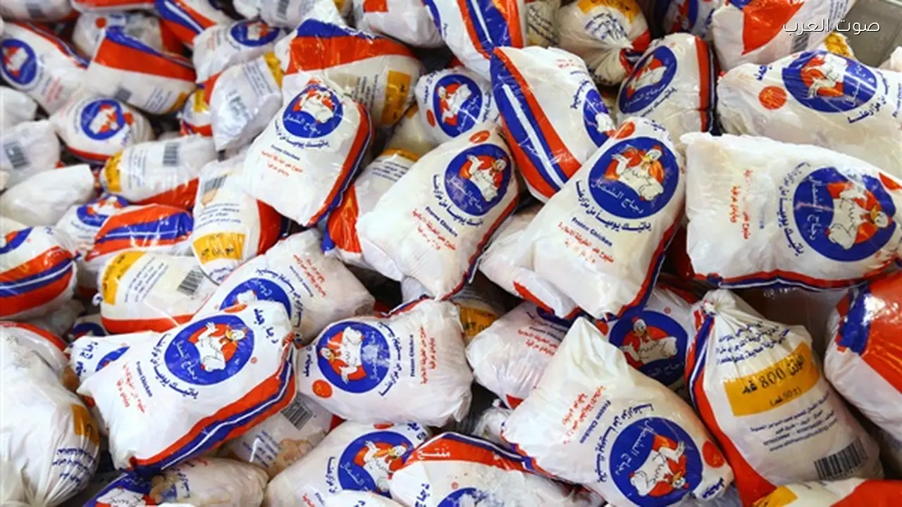 التموين تخفض سعر كيلو الدواجن المجمدة 20 جنيها