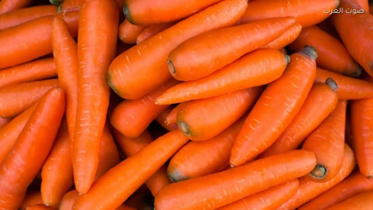 الجزر لا يعزز الرؤية كما اعتقدنا لعقود طويلة