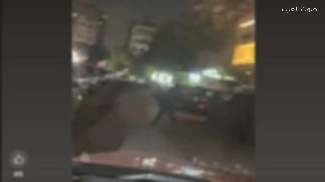 الداخلية توضح حقيقة فيديو اعتداء على الكلاب الضالة في القاهرة