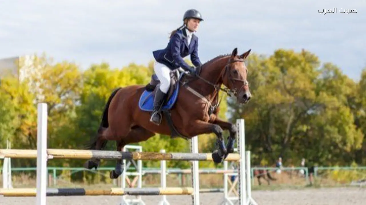 الزراعة تبدأ الإشراف البيطري على بطولة الفروسية العالمية