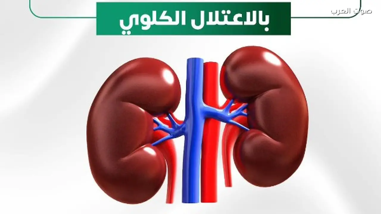الصحة: فحص 20.8 مليون مواطن في مبادرة الكشف المبكر عن الأمراض المزمنة