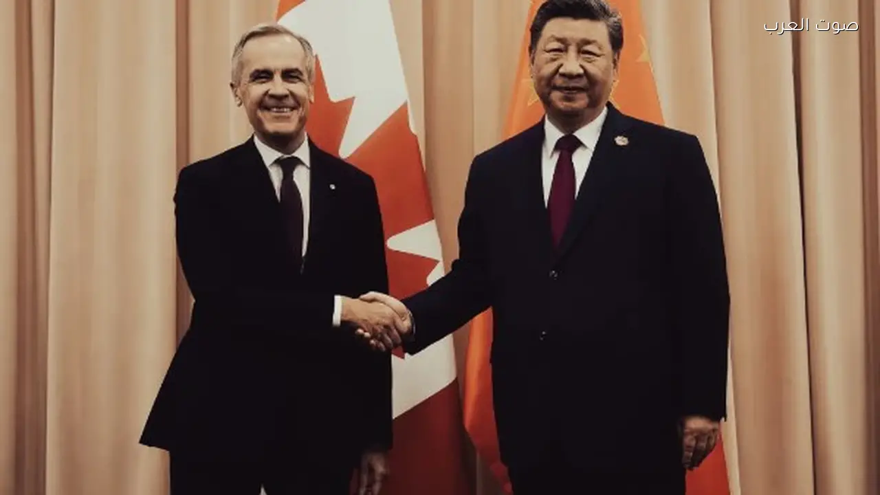 الصين تسمح باستيراد أغذية الحيوانات الأليفة من كندا