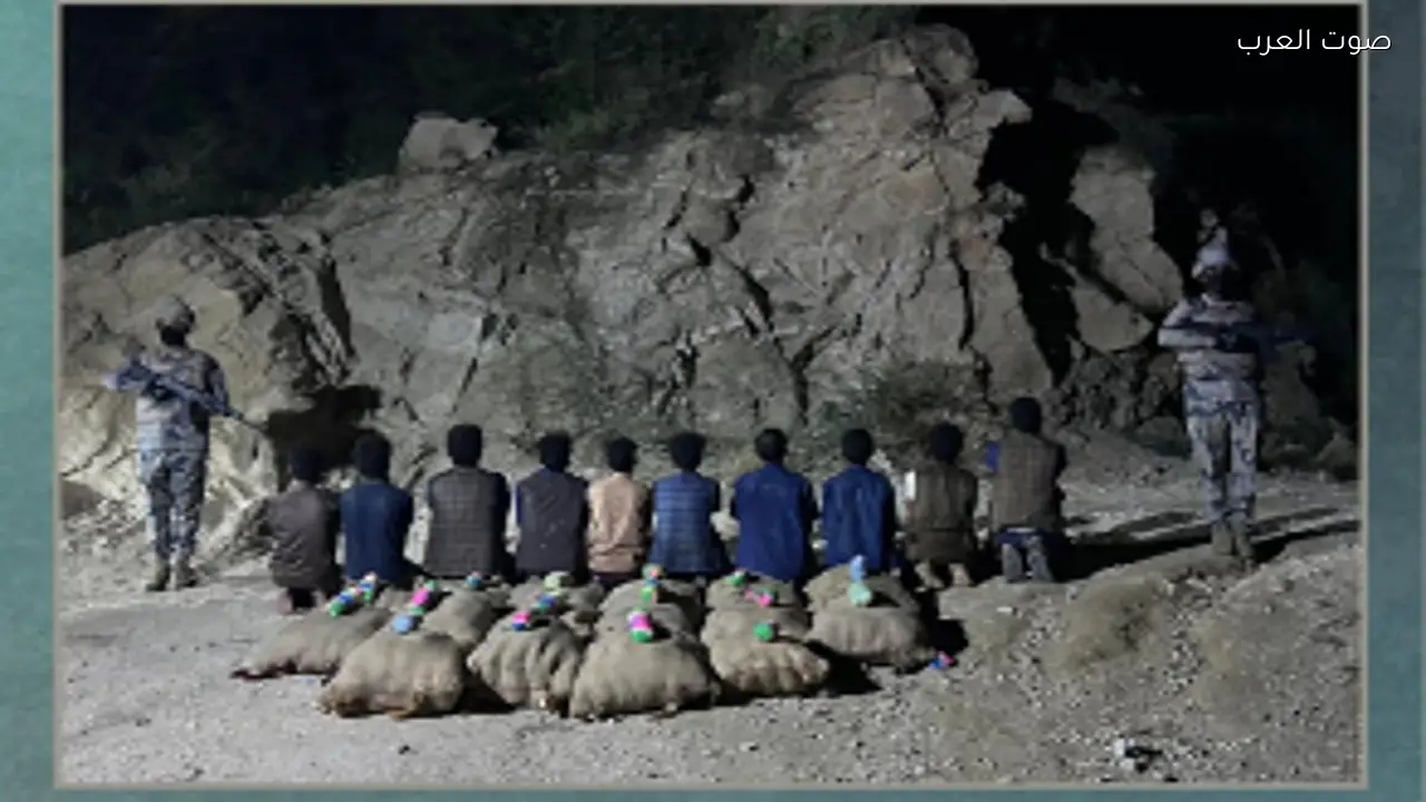 القبض على 10 يمنيين لتهريب 240 كيلوجرامًا من القات في جازان