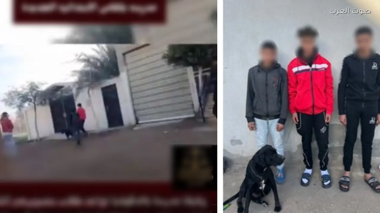 القبض على 3 طلاب اعتدوا على معلمة بالسب أمام المدرسة