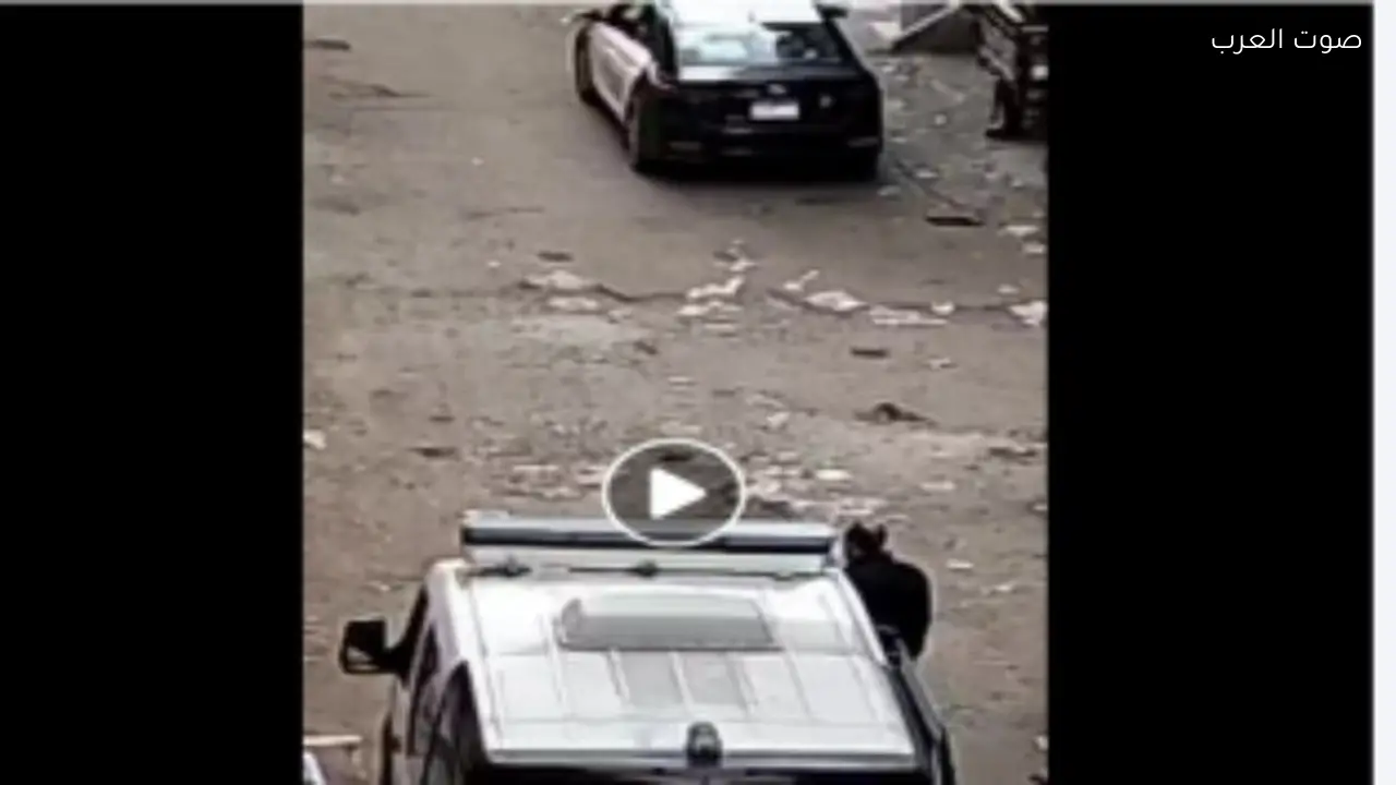 القبض على شخص احتجز زوجته في شقة بالسويس