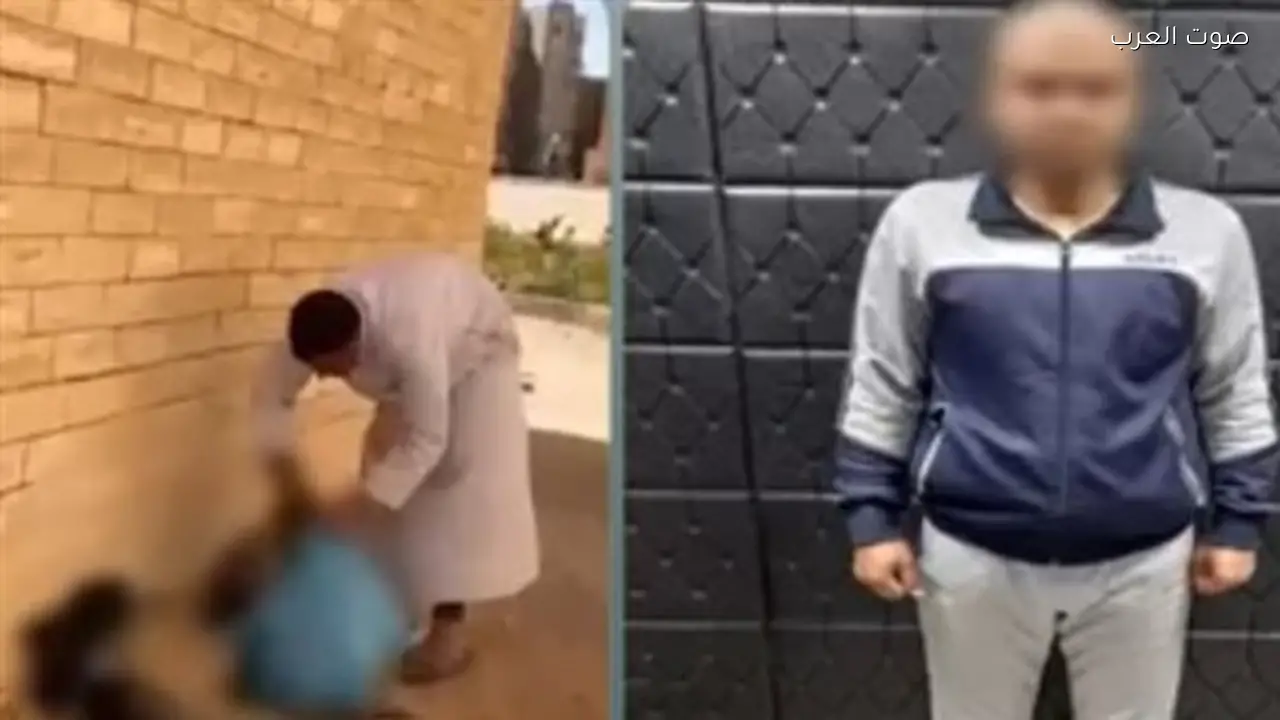 القبض على شخص حاول إخفاء كلاب في أكياس بلاستيكية بحدائق أكتوبر