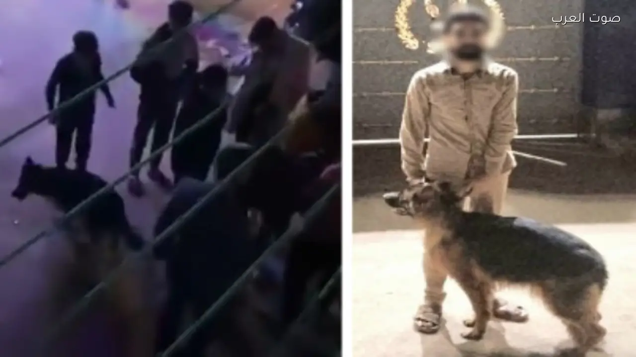 القبض على شخص هدد المارة بكلب في الإسكندرية