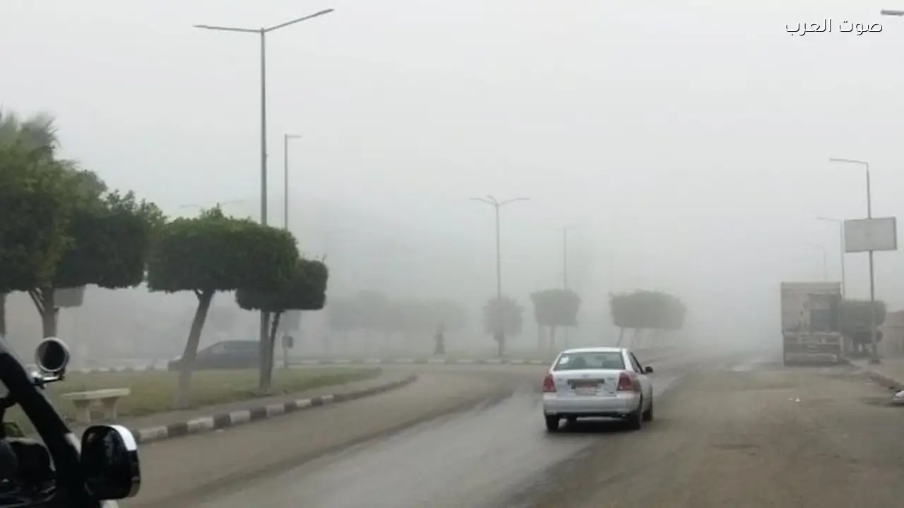 برودة شديدة وشبورة مائية في القاهرة صباح اليوم