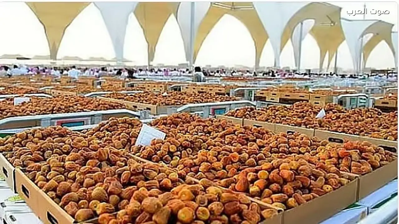 تجار تمور الأحساء: تسويق التمور يعتمد على الطلب المحلي والمستهلكين