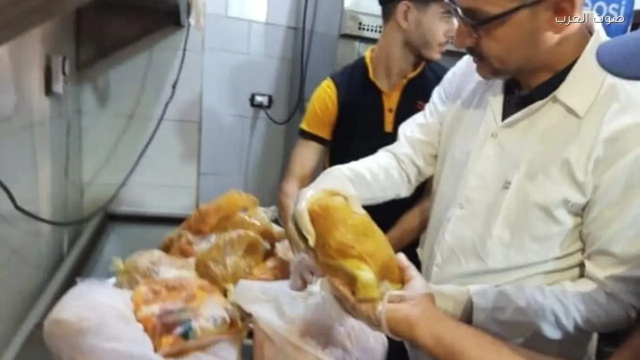 تحرير 23 محضر مخالفة لمخابز بلدية وسياحية في الغربية