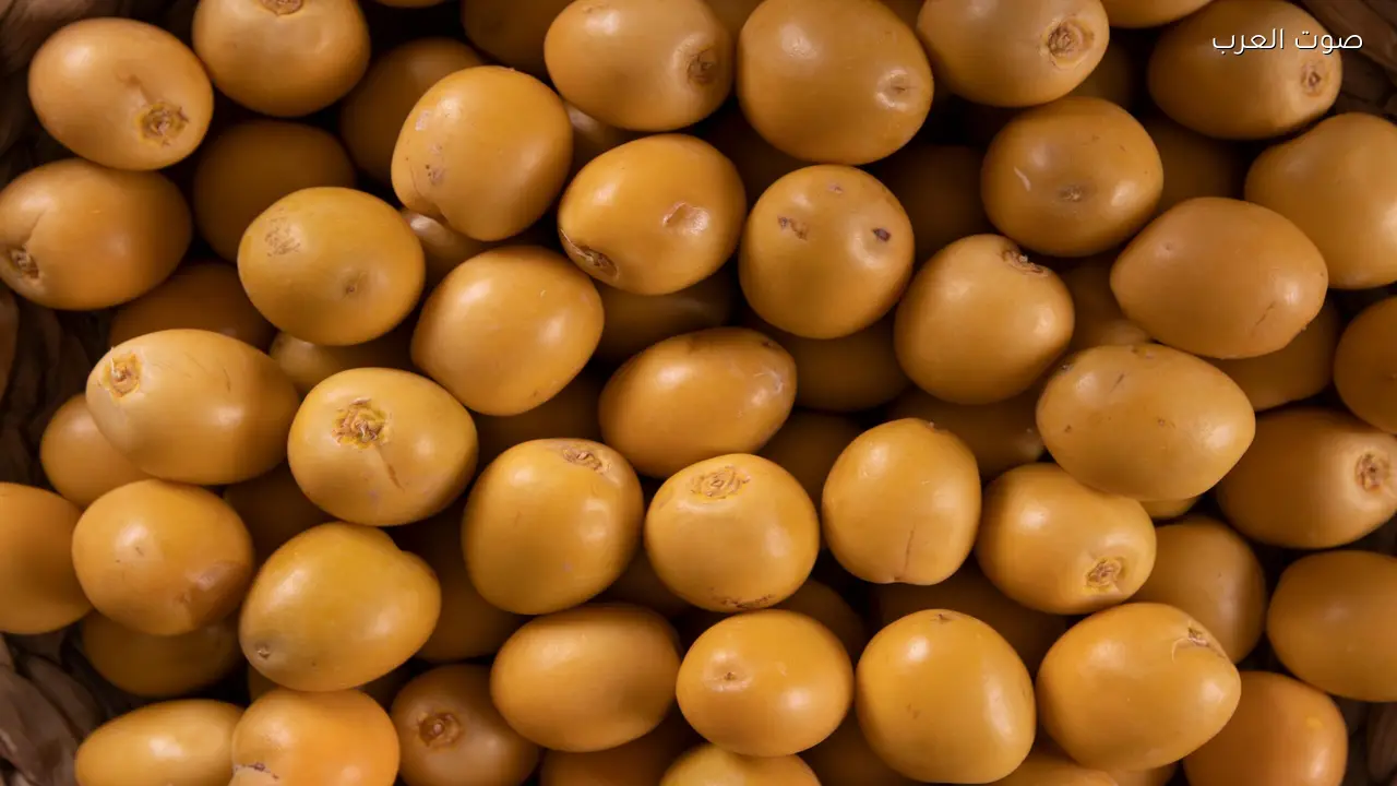 تمور الرياض تزين موائد رمضان وتعزز القيمة الغذائية للمستهلكين