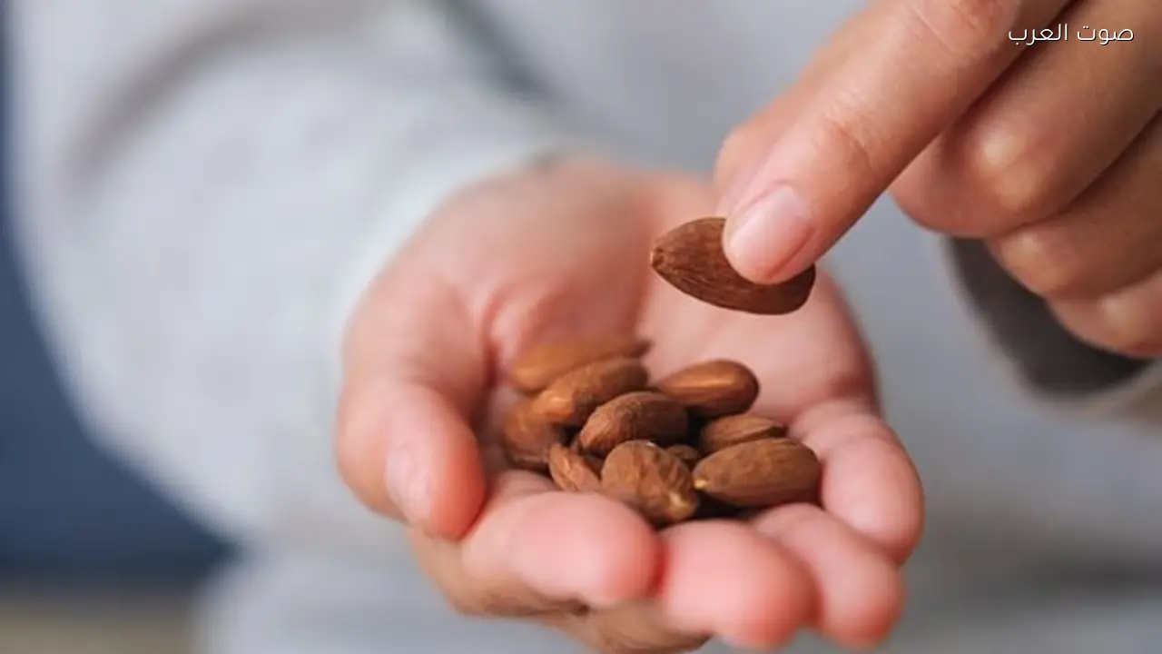 تناول اللوز يعزز صحة الدماغ ويقلل خطر الخرف