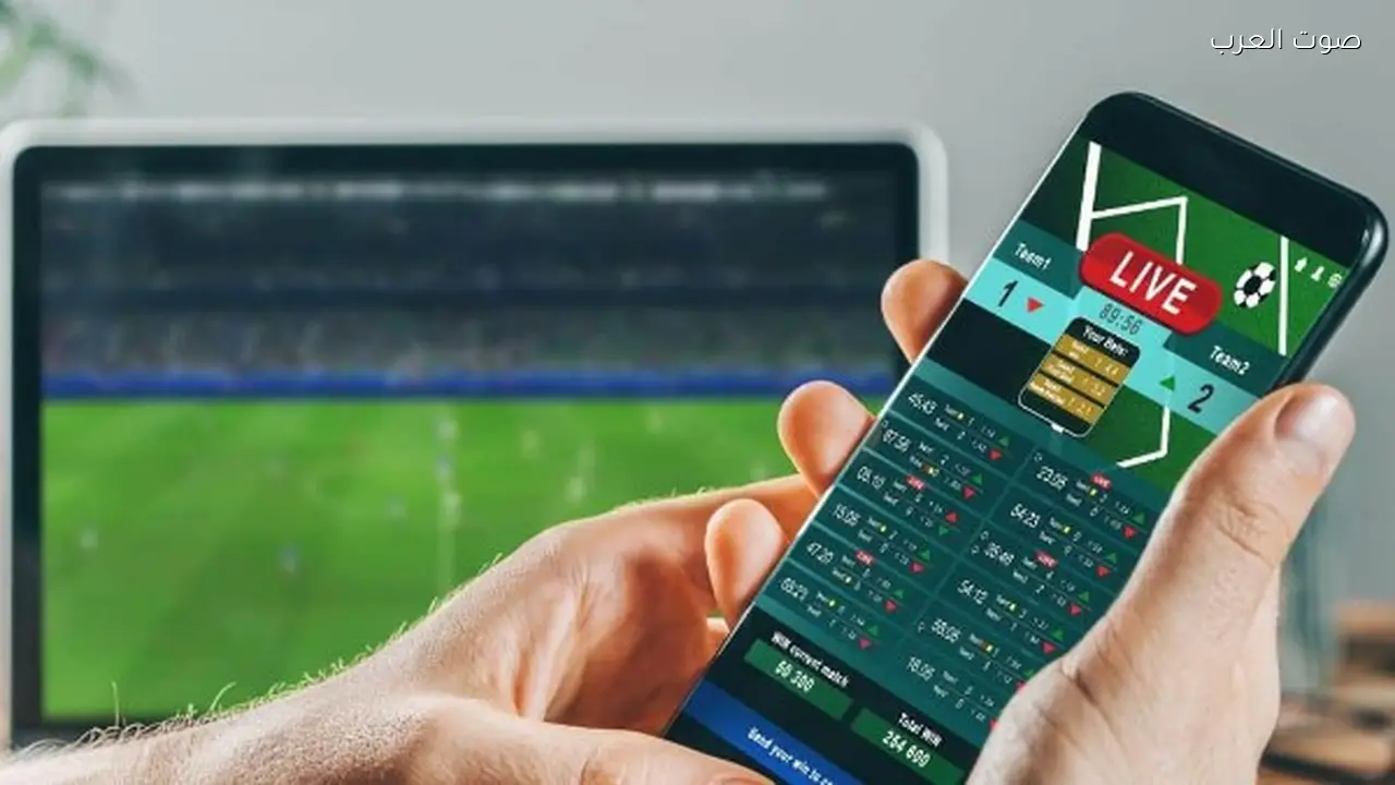 حبس شخصين بتهمة توظيف الأموال في المراهنات