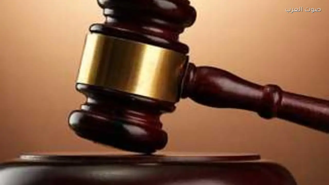 حبس عاملة بمحل دواجن بتهمة قتل سيدة مسنّة في زفتى